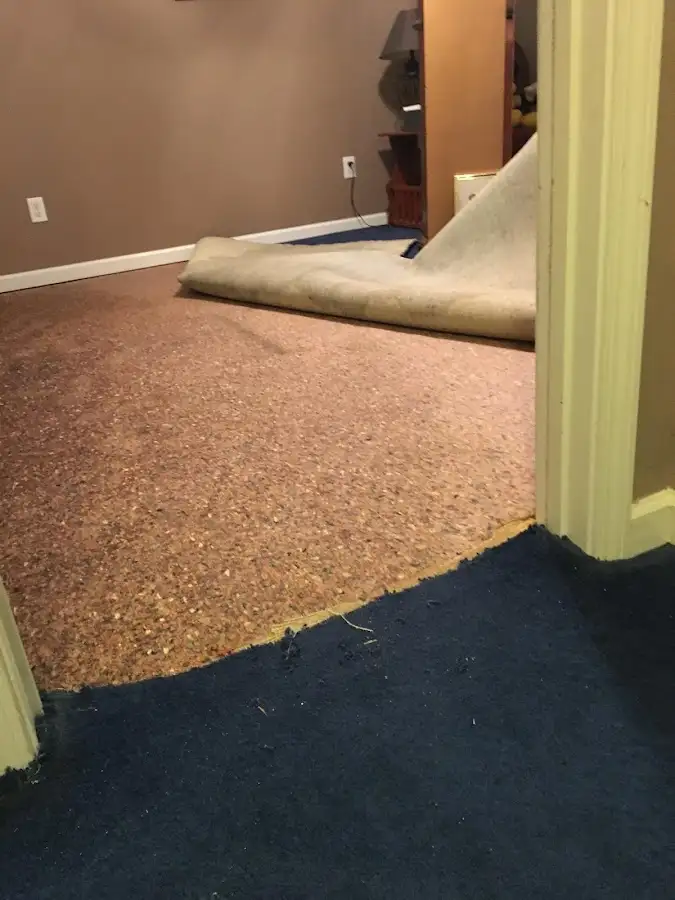 Carpet pad removal revealing water damage during Drying & Dehumidification in Prospect Park